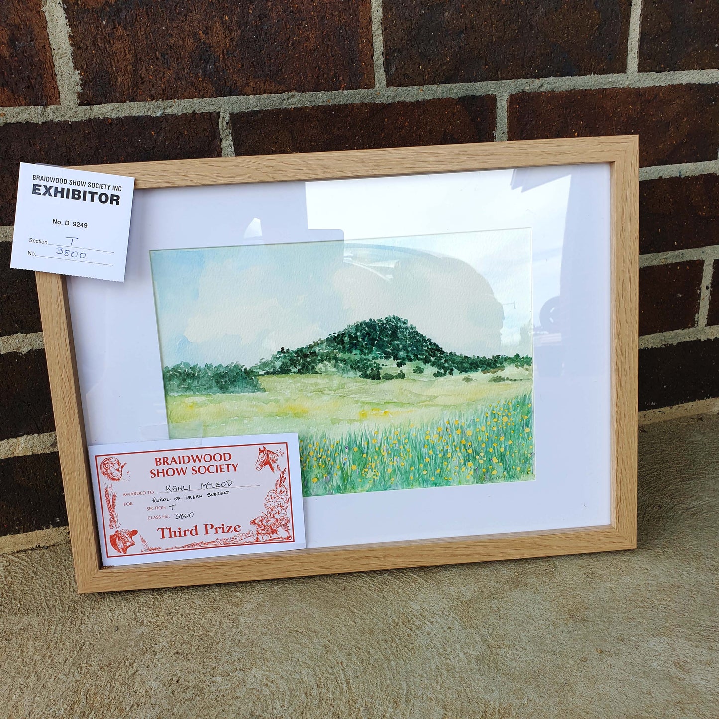 Mt Gillamatong Braidwood