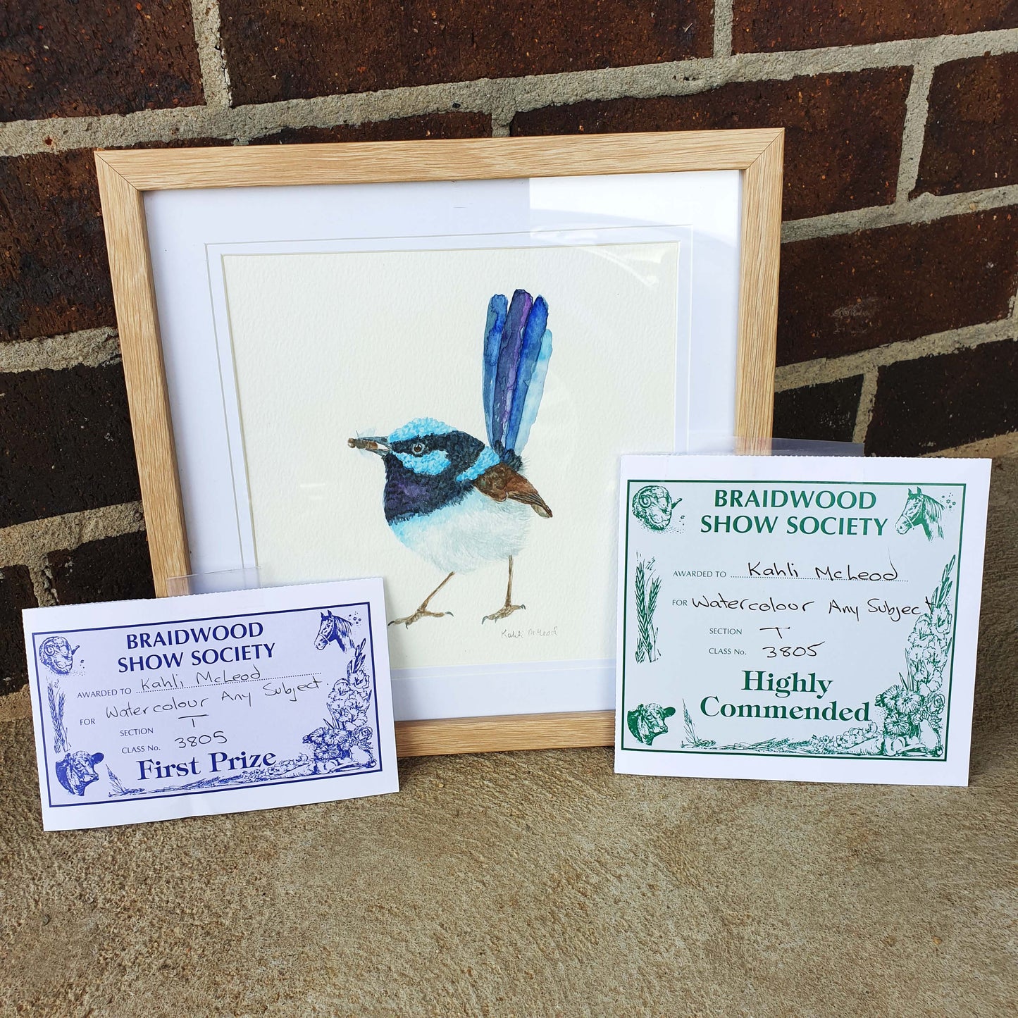 Blue Fairywren
