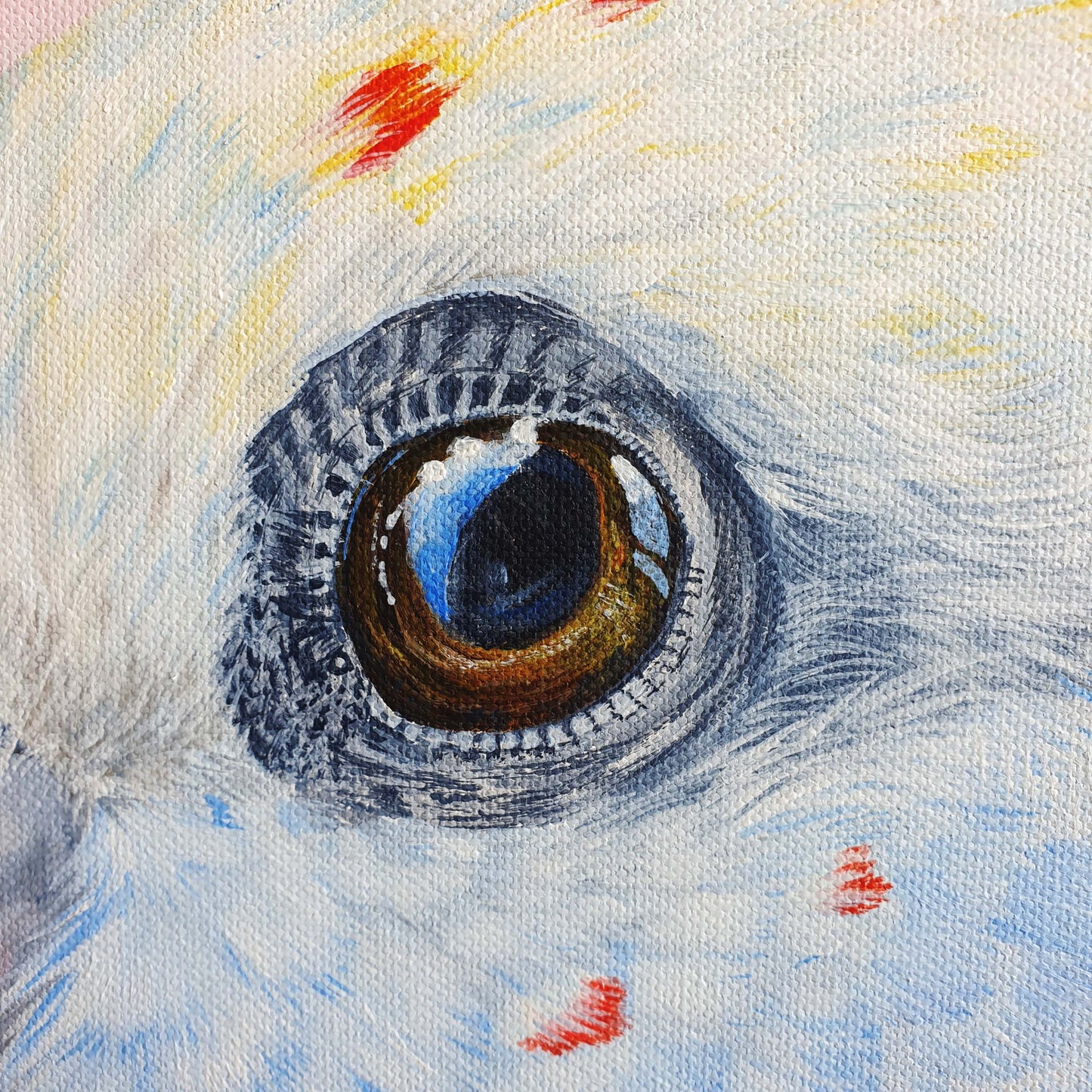 "Pale Beauty" Original Pale-Headed Rosella Painting