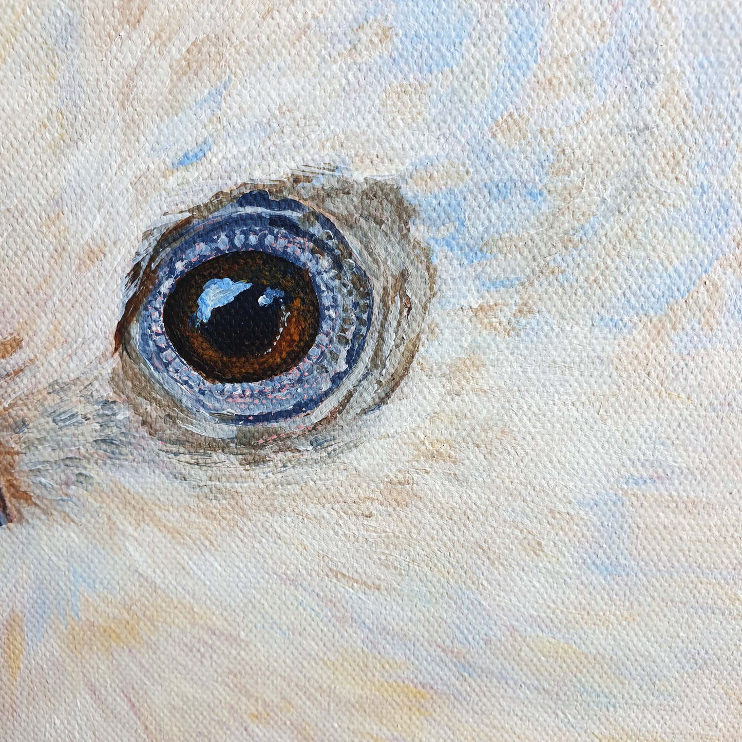 Cockatoo