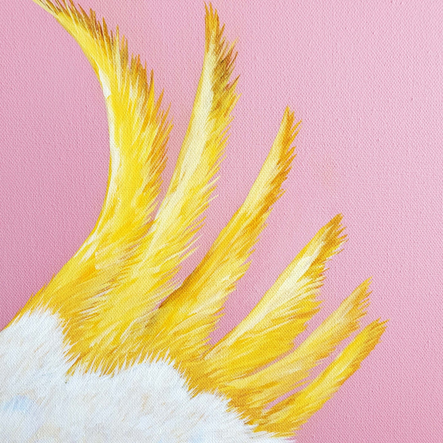 Cockatoo