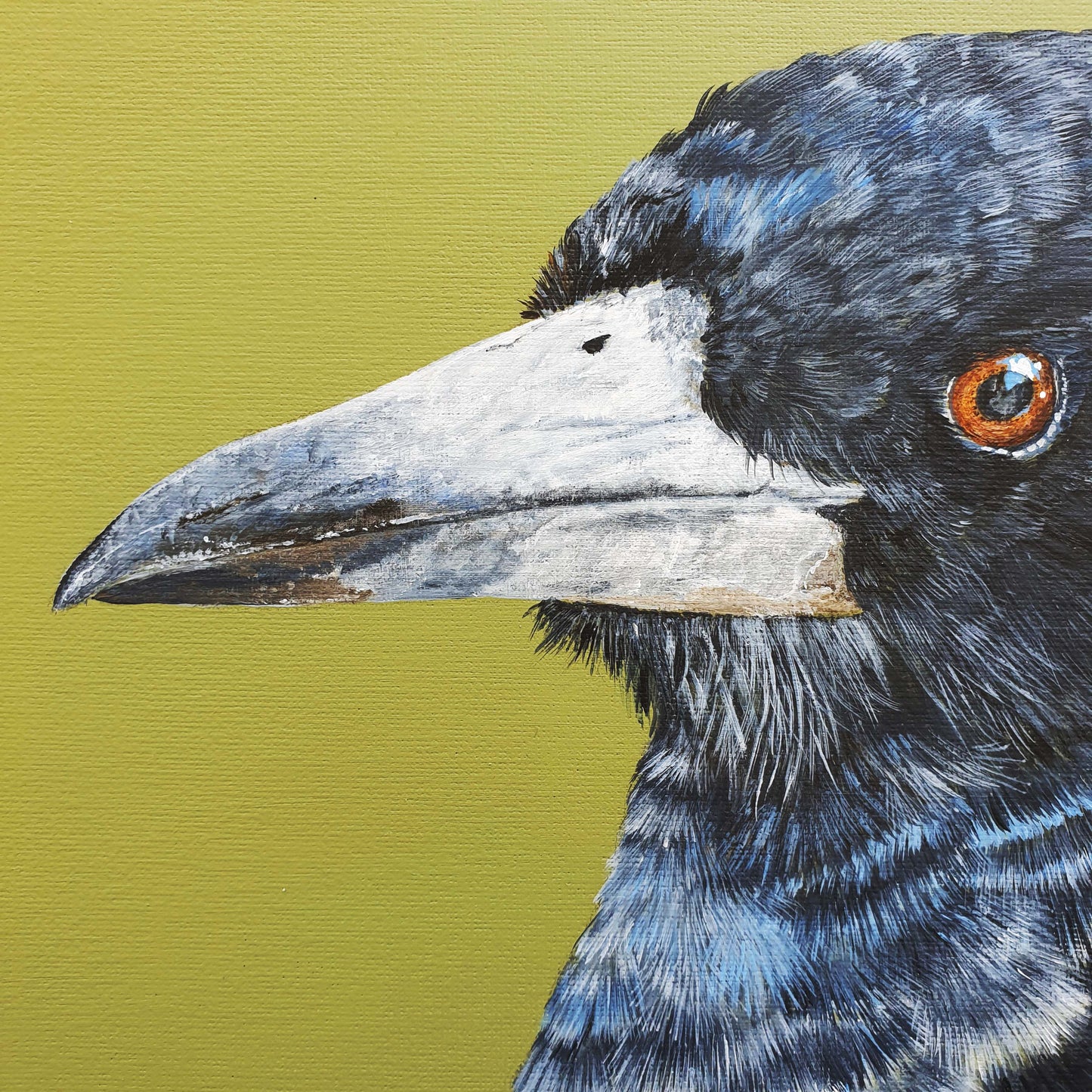 "Magpie Gaze" - Magpie painting