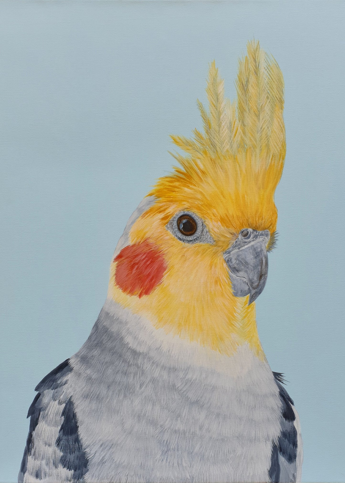 Cockatiel