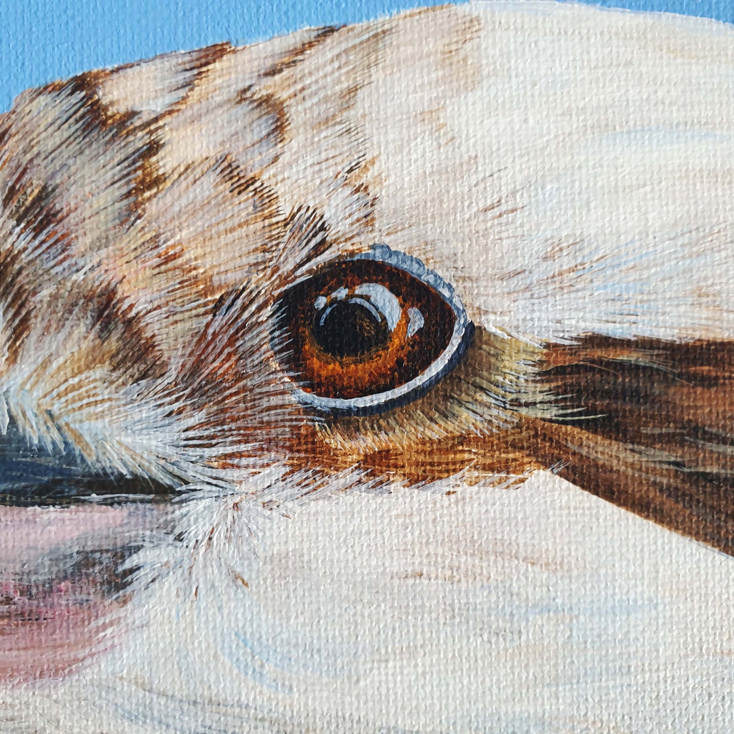 Mini Kookaburra painting