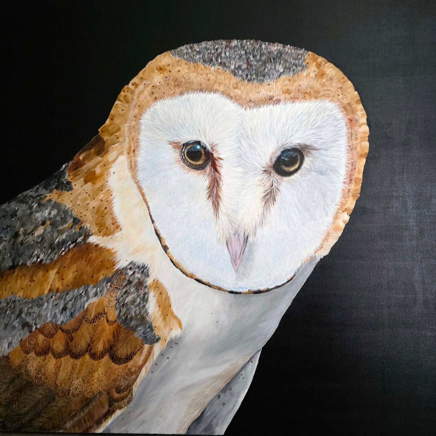 Silent Watch - Barn Owl