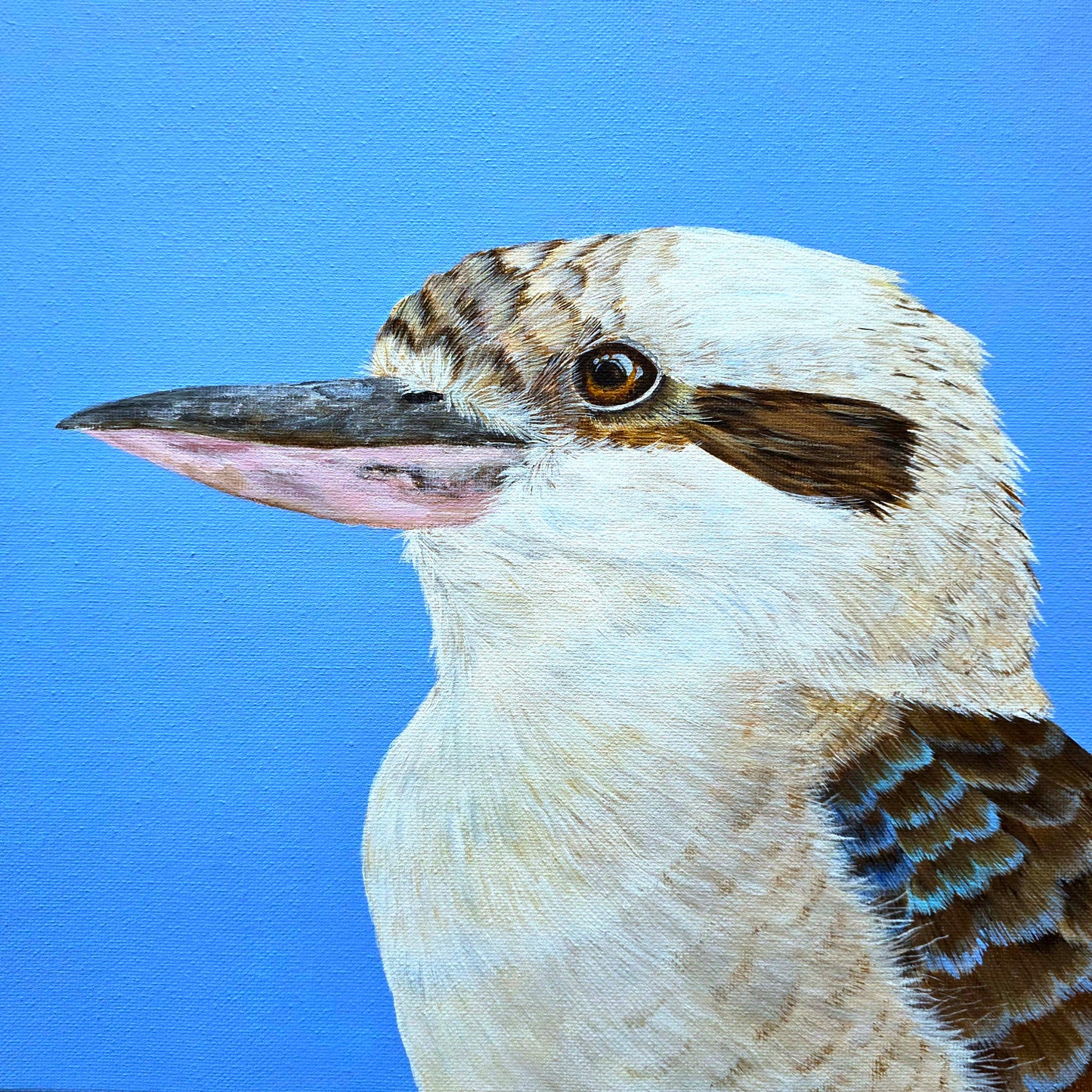 Mini Kookaburra painting
