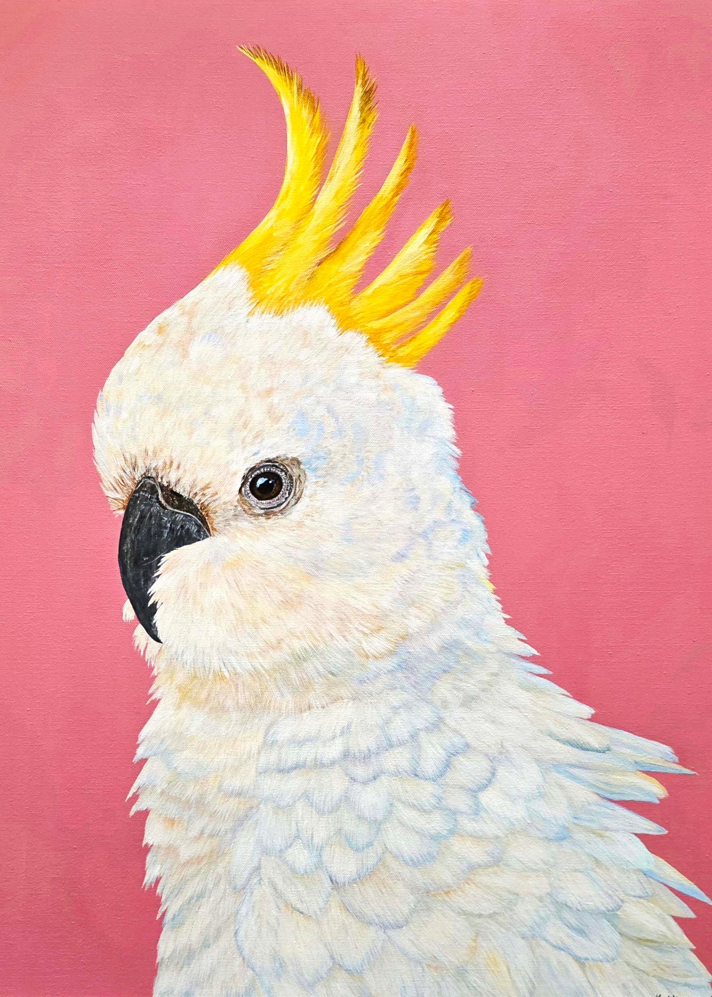 Cockatoo