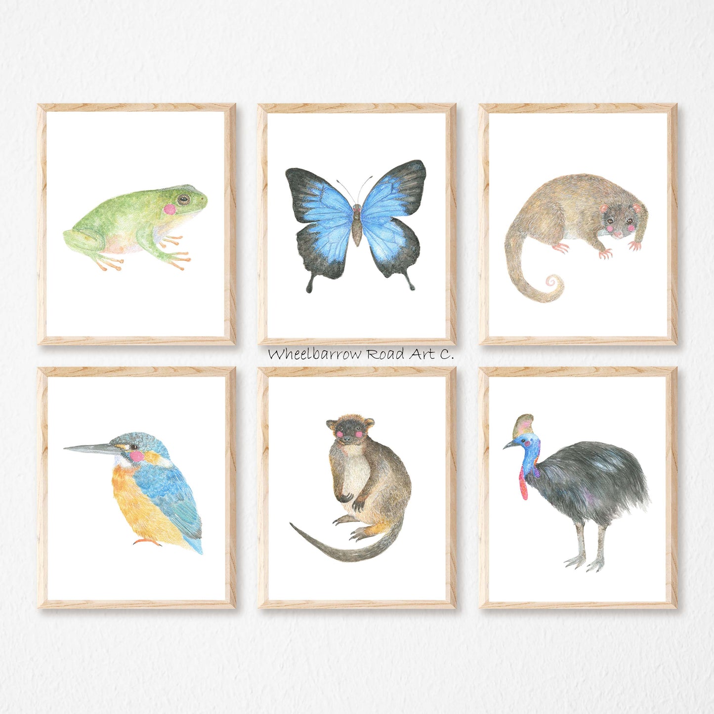DAINTREE RIVER RINGTAIL POSSUM NURSERY PRINT
