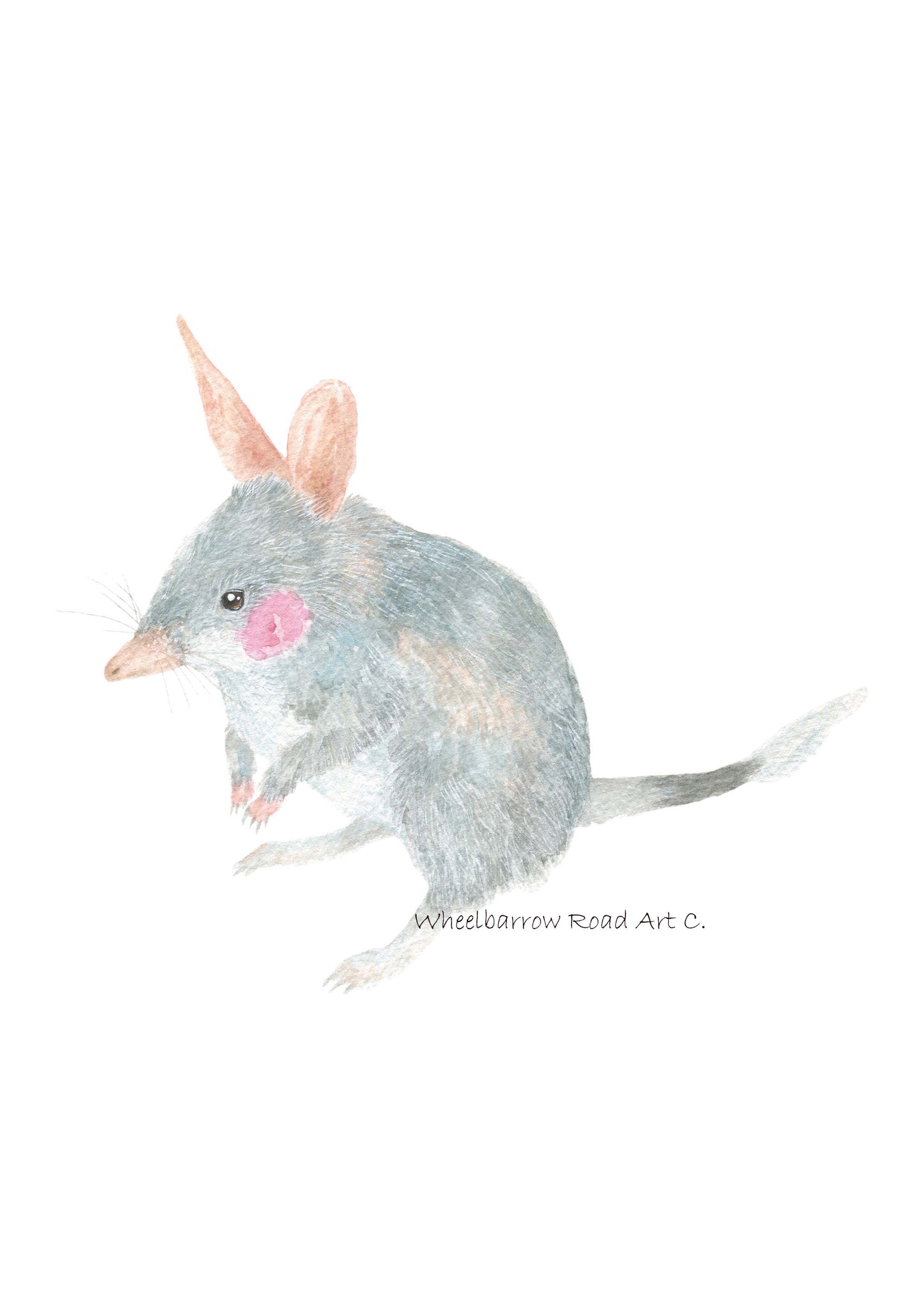 OUTBACK AUSTRALIAN ANIMALS SETS