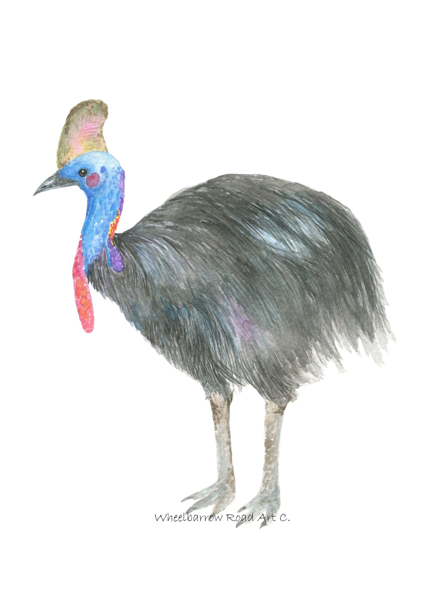 CASSOWARY NURSERY PRINT