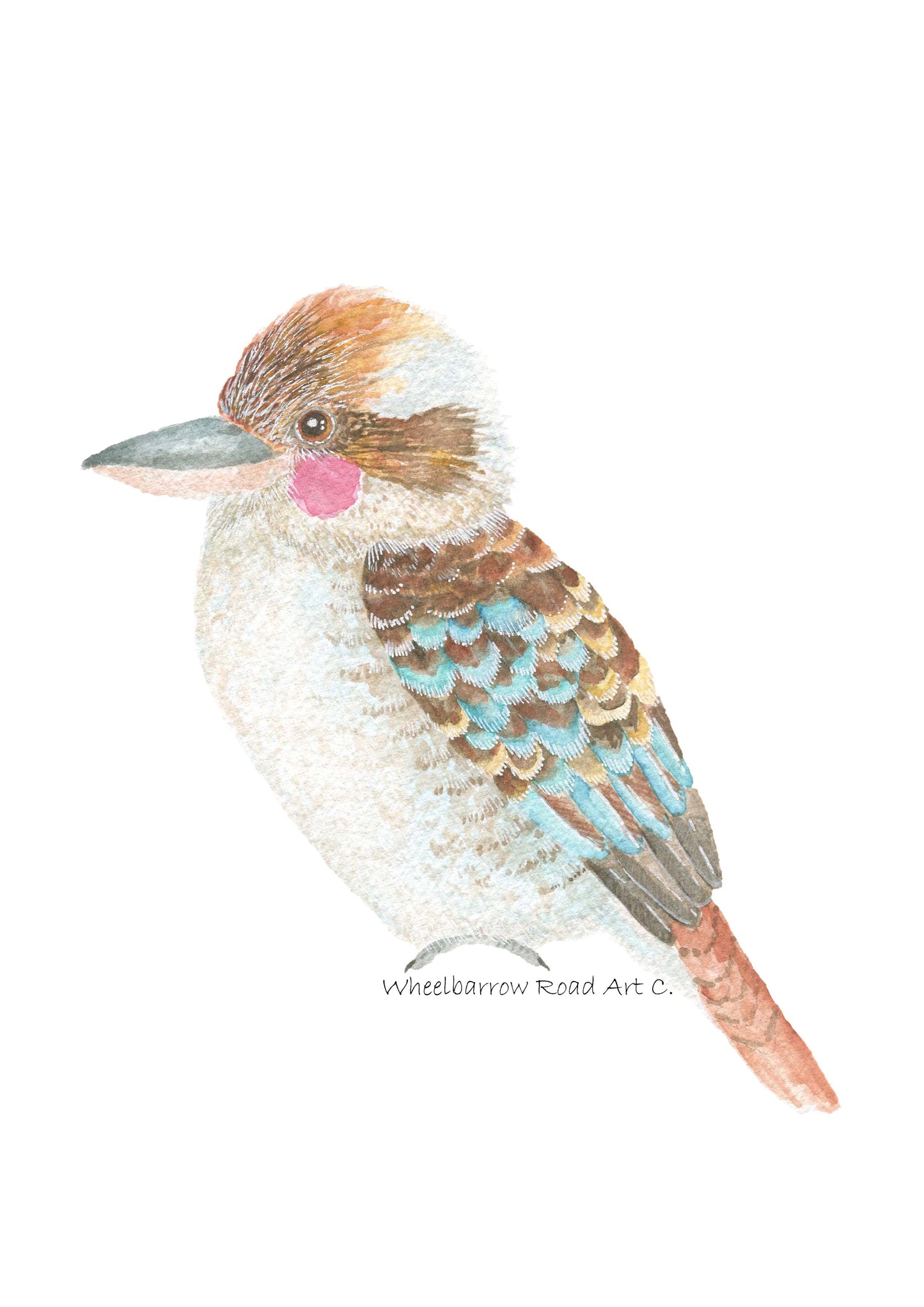 KOOKABURRA NURSERY PRINT