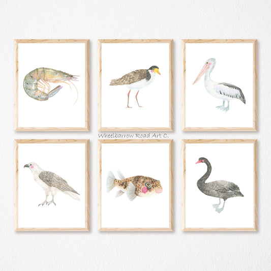 LAKE AUSTRALIAN ANIMAL SET