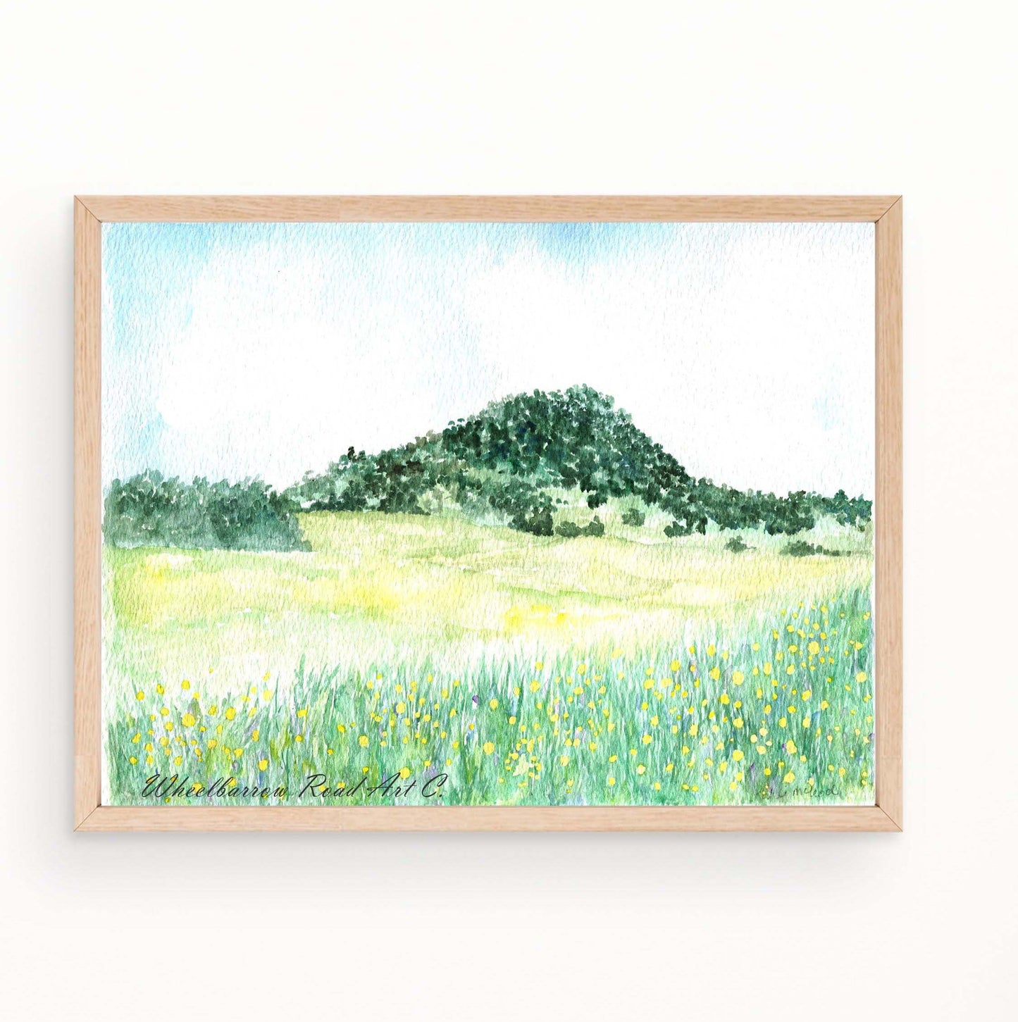 Mt Gillamatong Braidwood