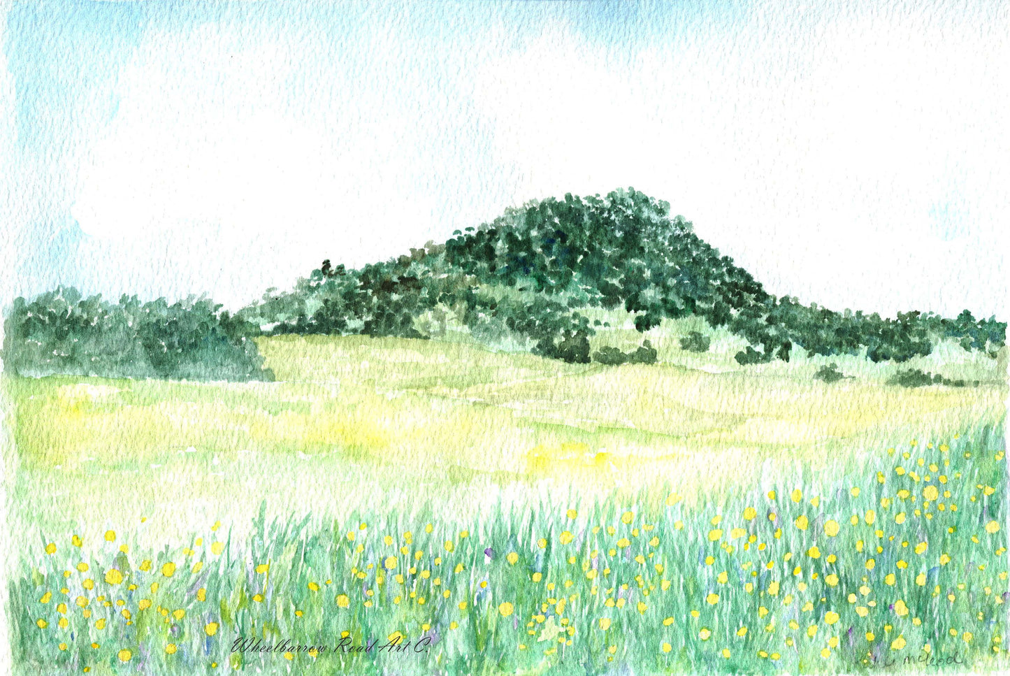 Mt Gillamatong Braidwood