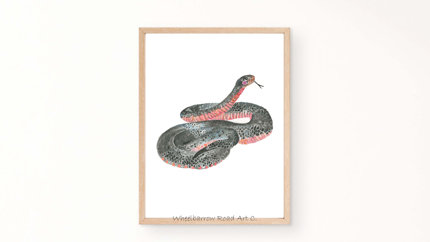 RED BELLY BLACK SNAKE NURSERY PRINT