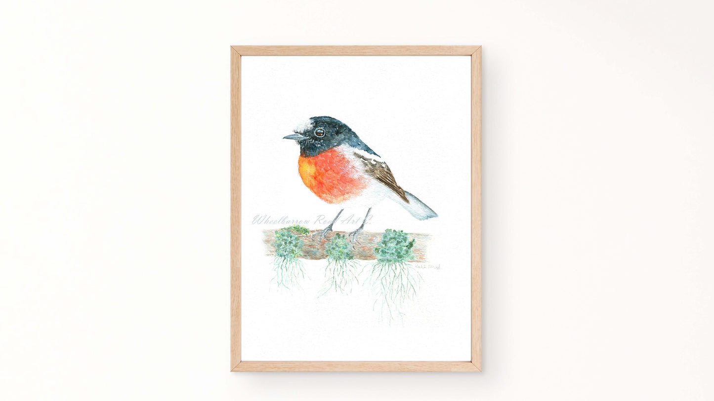 Scarlet Robin