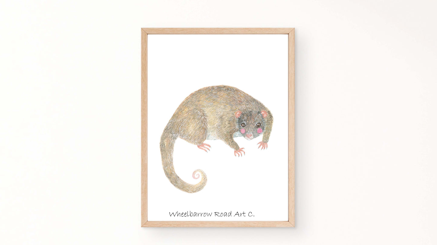 DAINTREE RIVER RINGTAIL POSSUM NURSERY PRINT