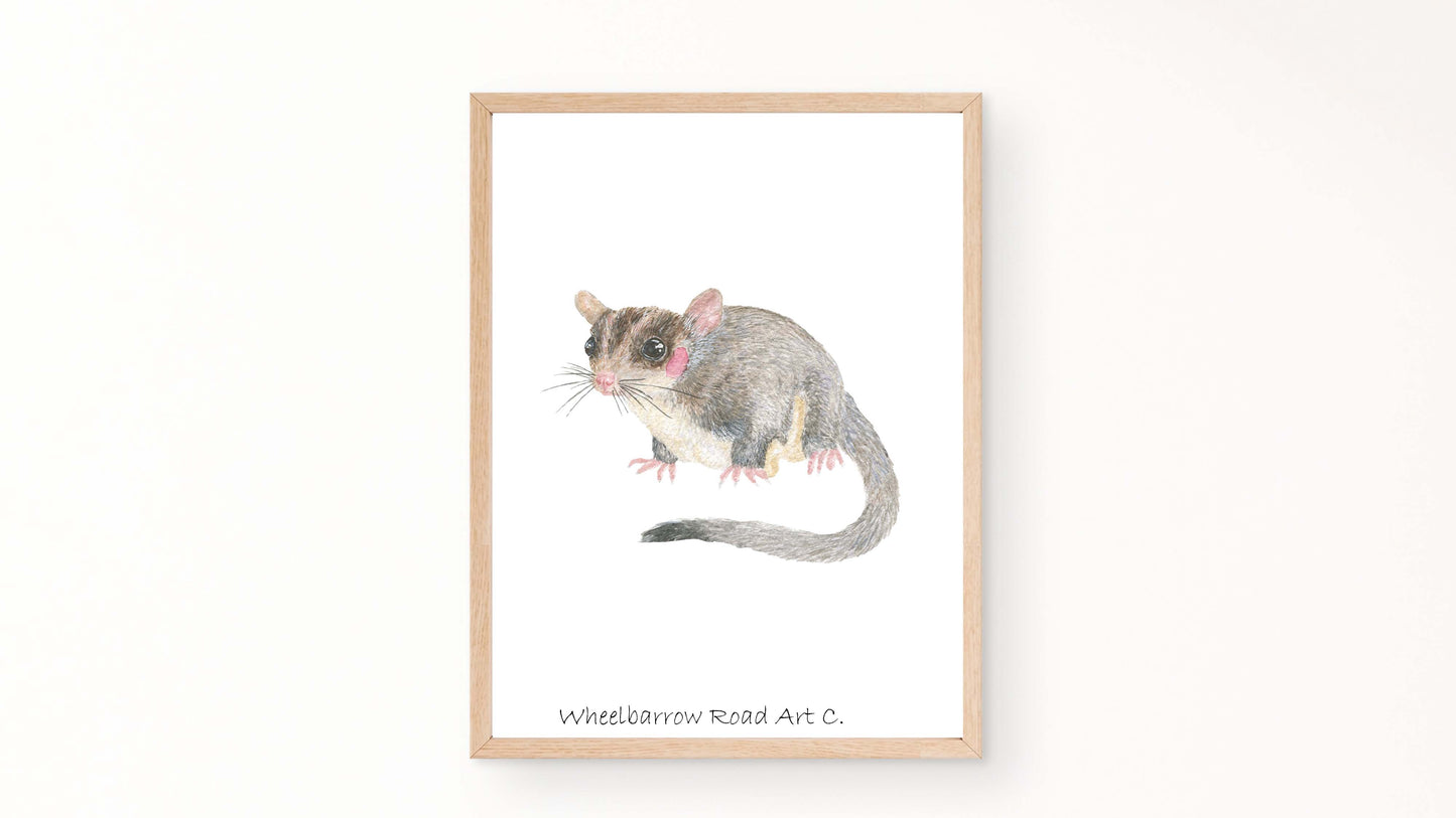 SUGAR GLIDER NURSERY PRINT