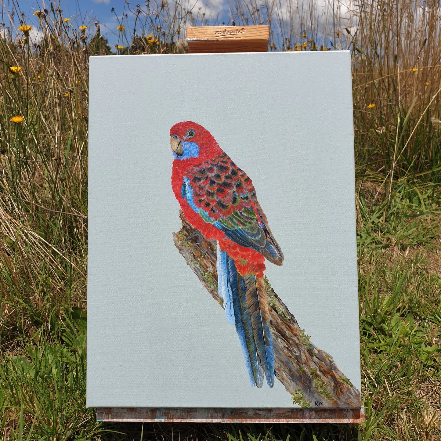 "Rocky" Crimson Rosella Painting