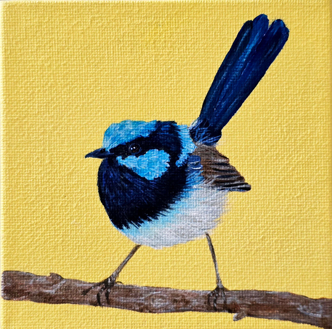 Mini Art Exhibition at Braidwood Library - Update I won x