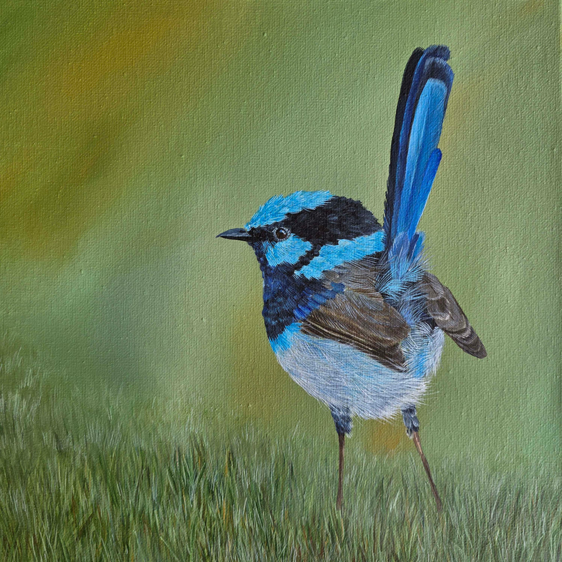 ART EXHIBITION - SHARED SPACES: THE WILDLIFE NEXT DOOR