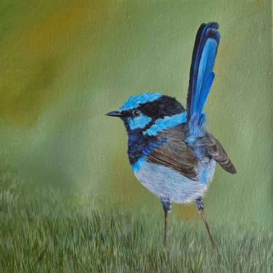 ART EXHIBITION - SHARED SPACES: THE WILDLIFE NEXT DOOR