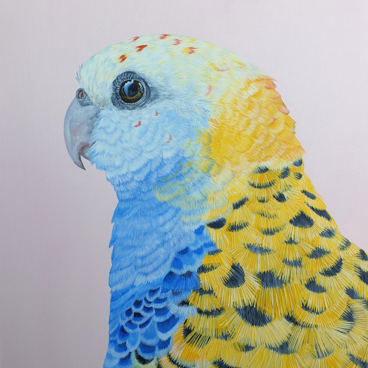 "Pale Beauty" Original Pale-Headed Rosella Painting