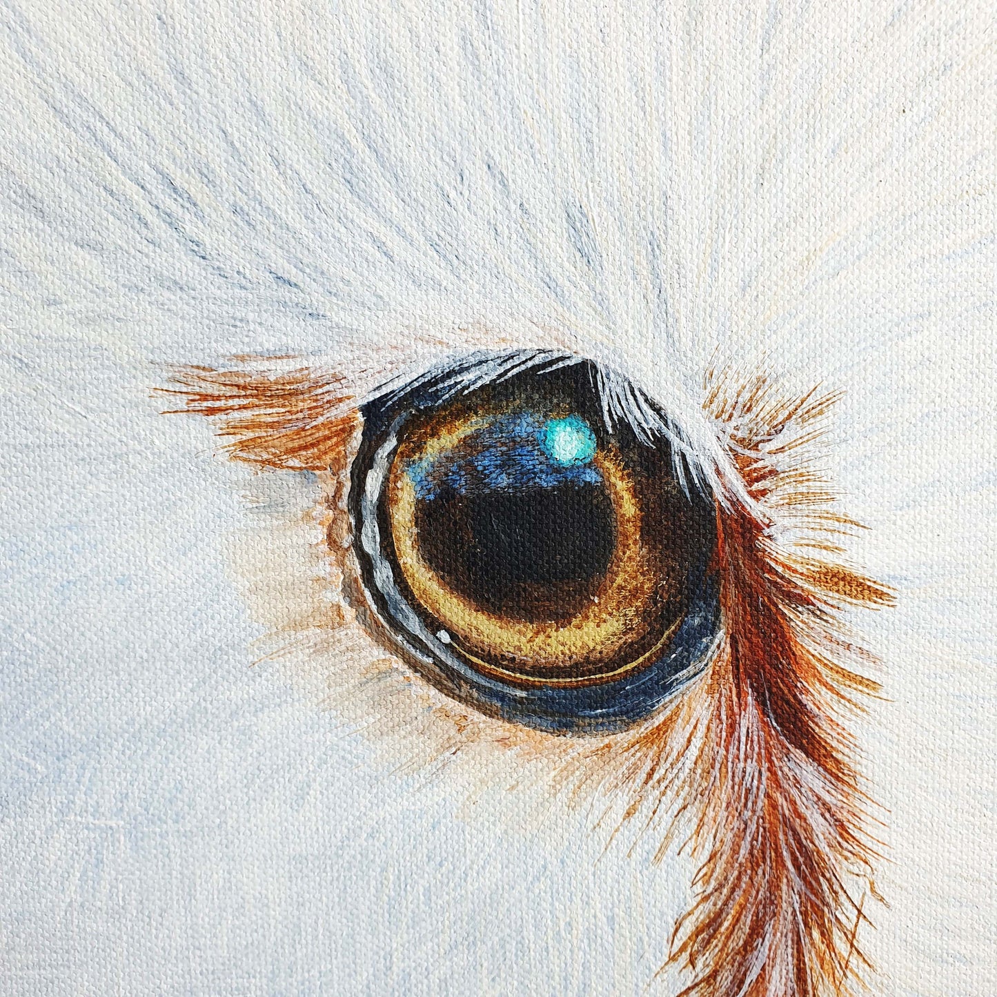 Silent Watch - Barn Owl