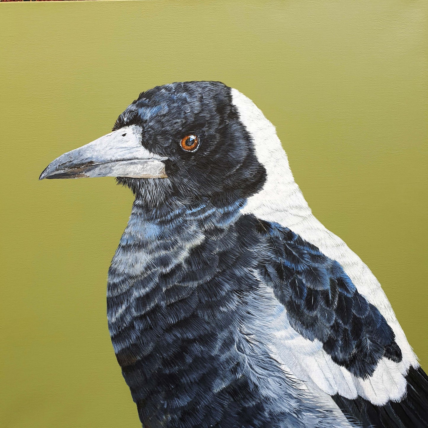 "Magpie Gaze" - Magpie painting