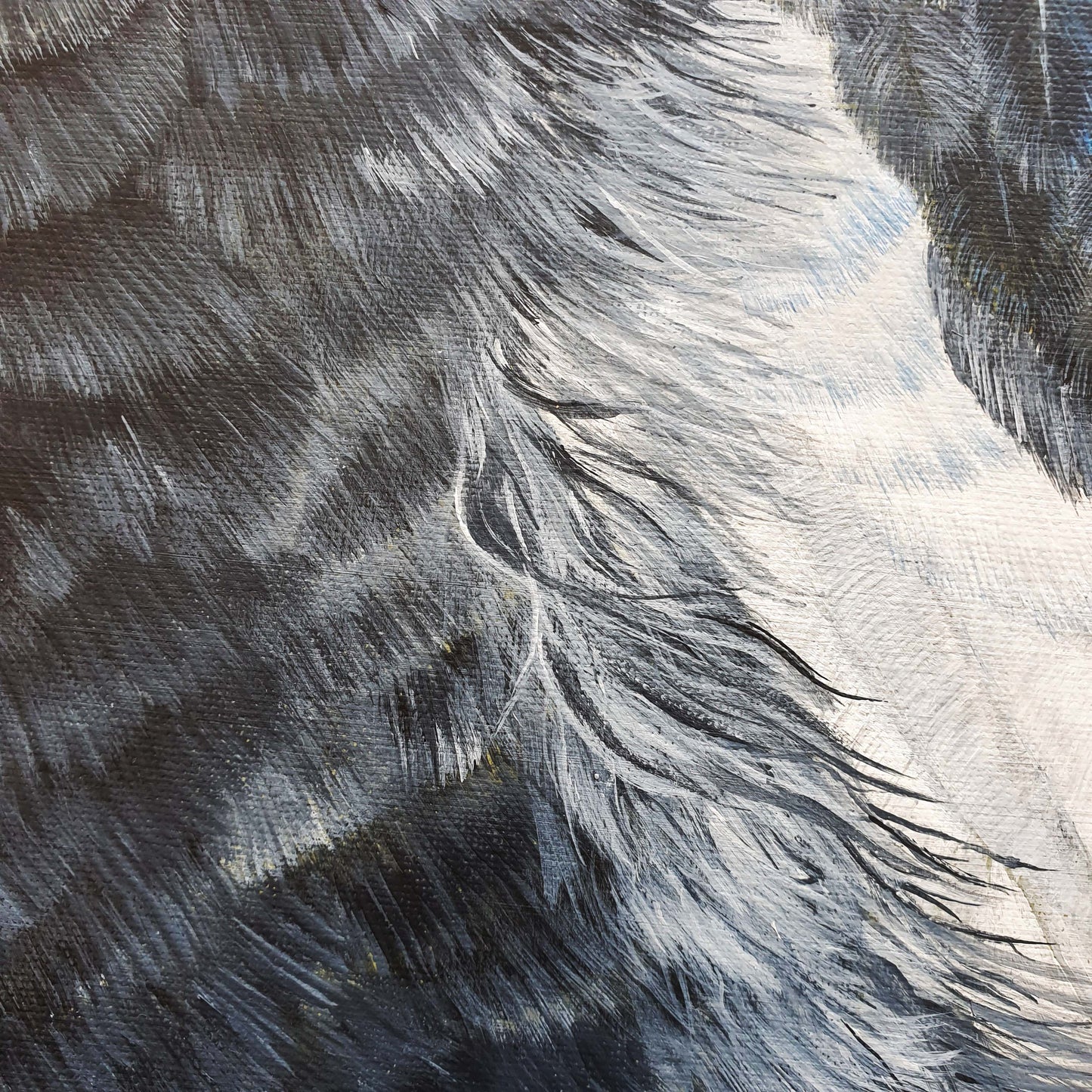 "Magpie Gaze" - Magpie painting