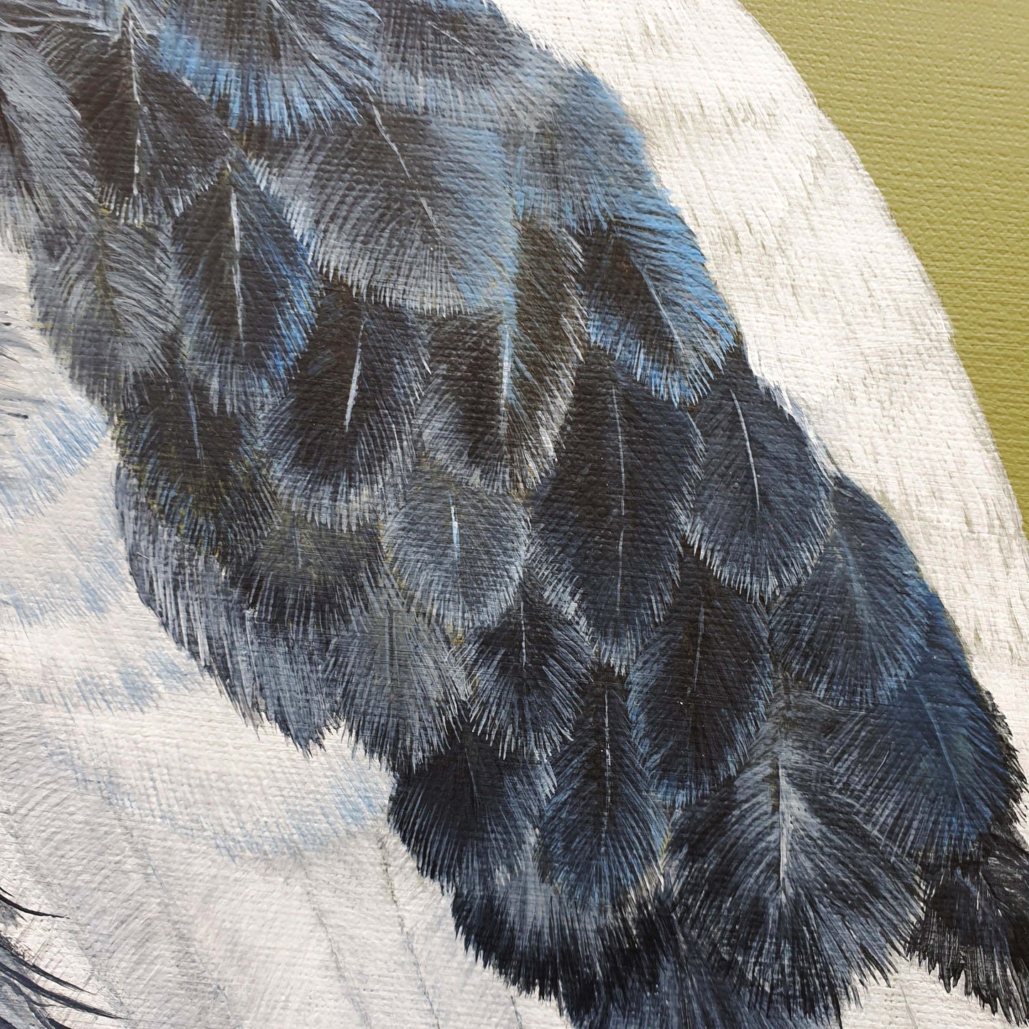 "Magpie Gaze" - Magpie painting