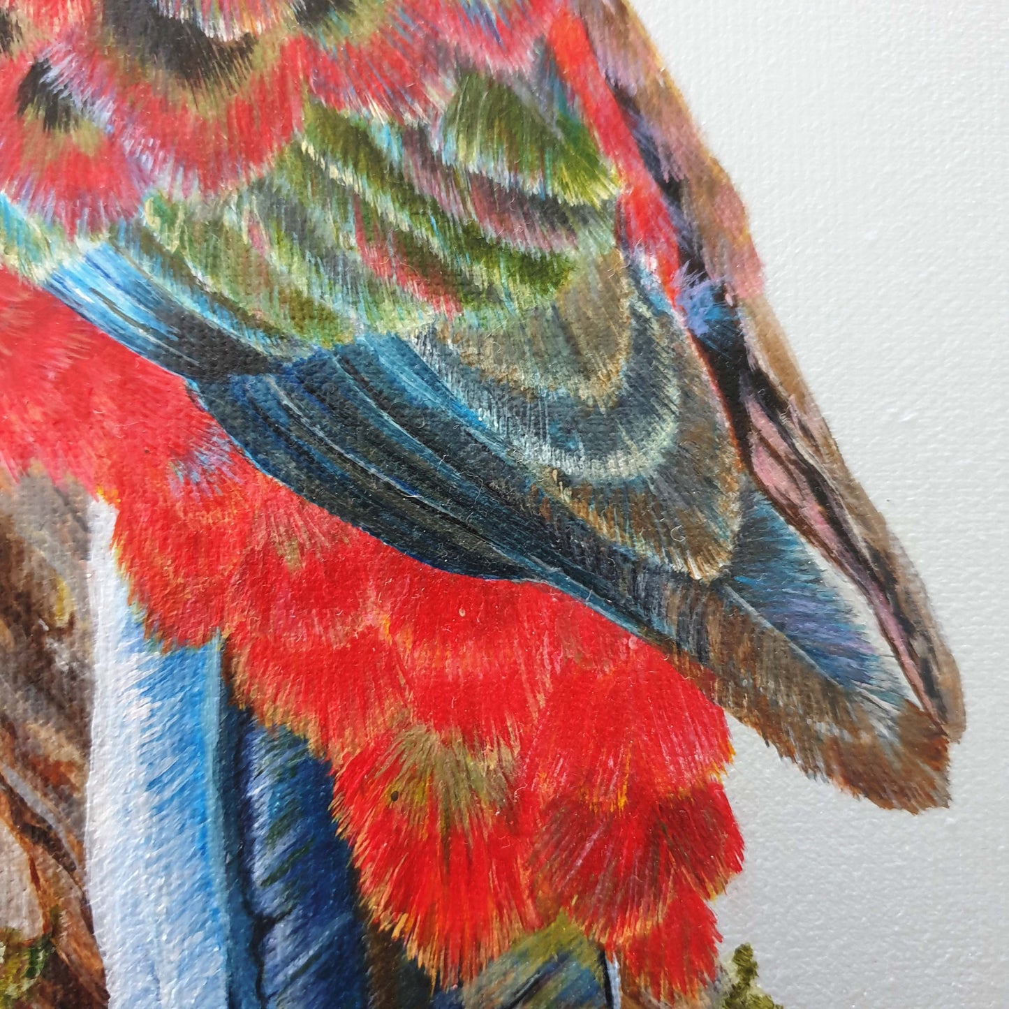 "Rocky" Crimson Rosella Painting