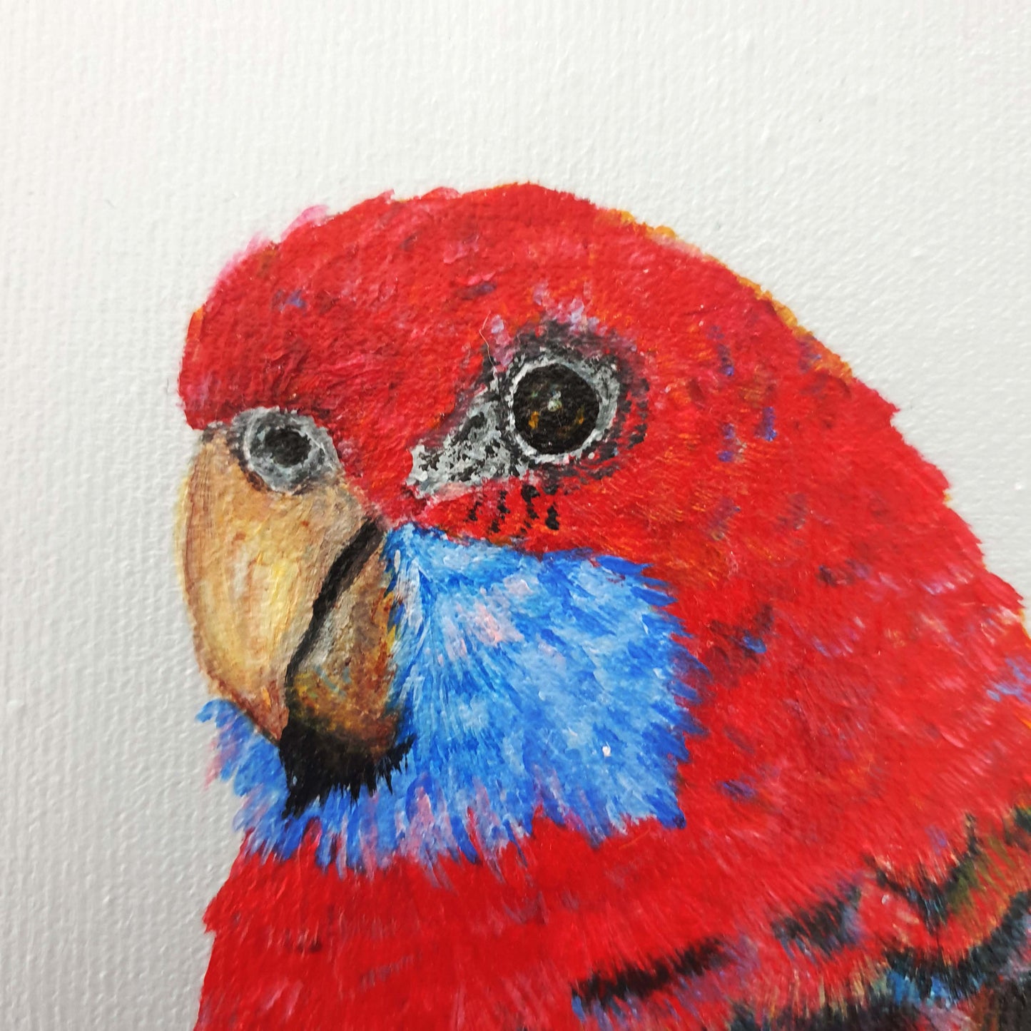 "Rocky" Crimson Rosella Painting