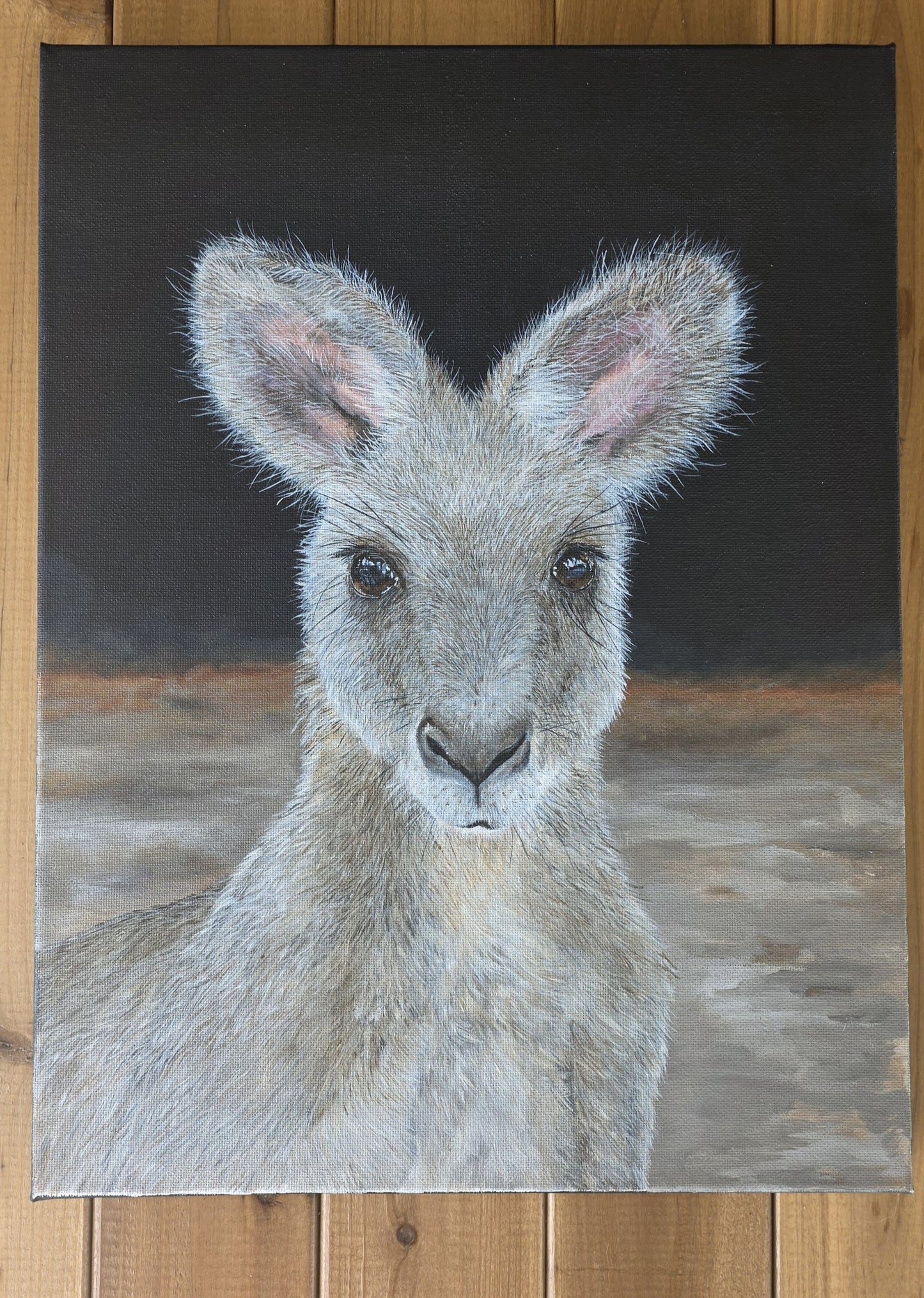 Grey Kangaroo