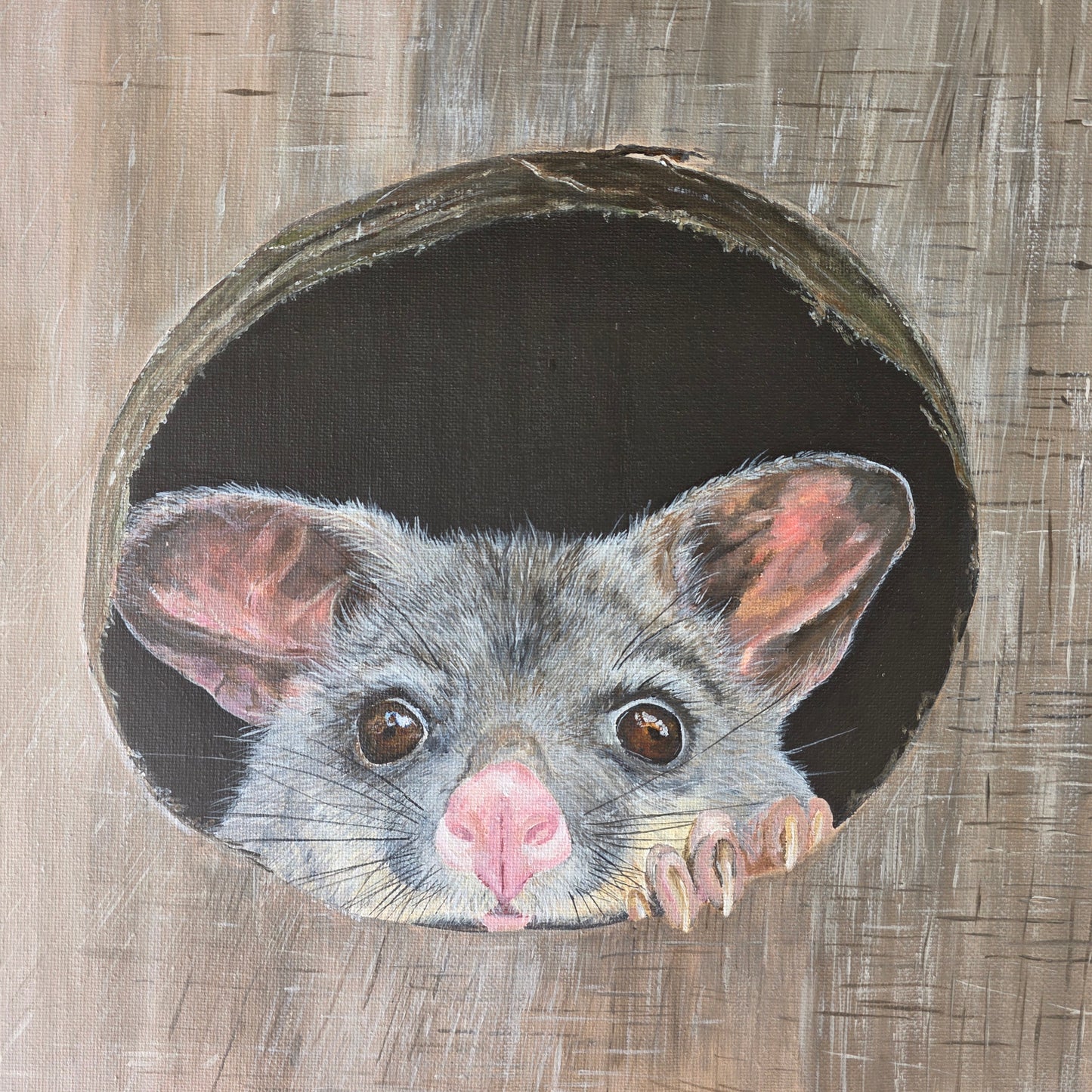 Possum