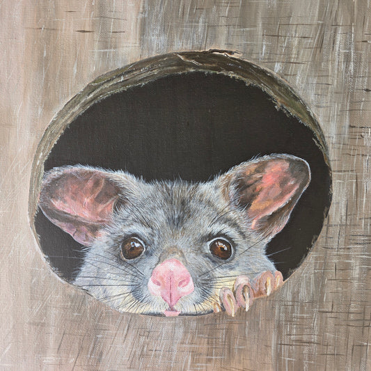 Possum