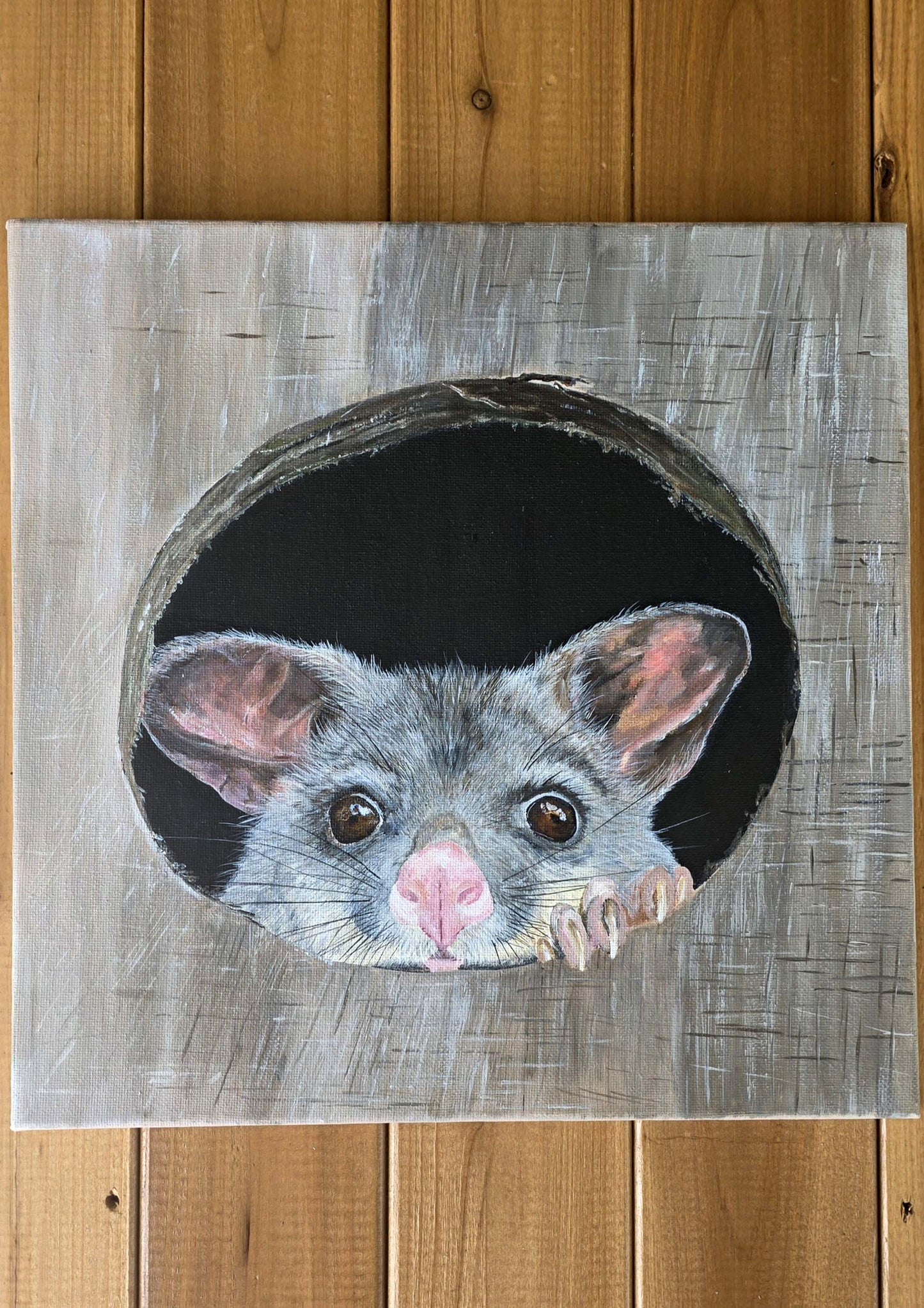 Possum