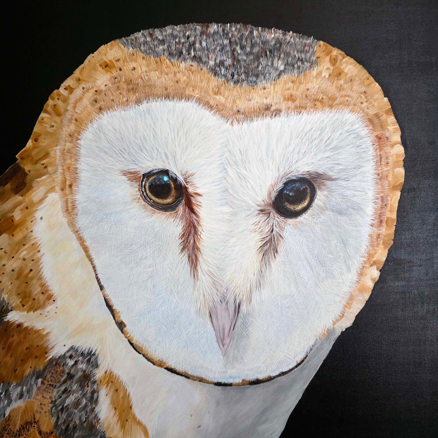 Silent Watch - Barn Owl