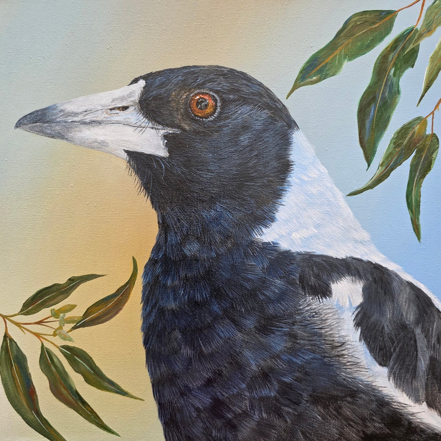 Magpie