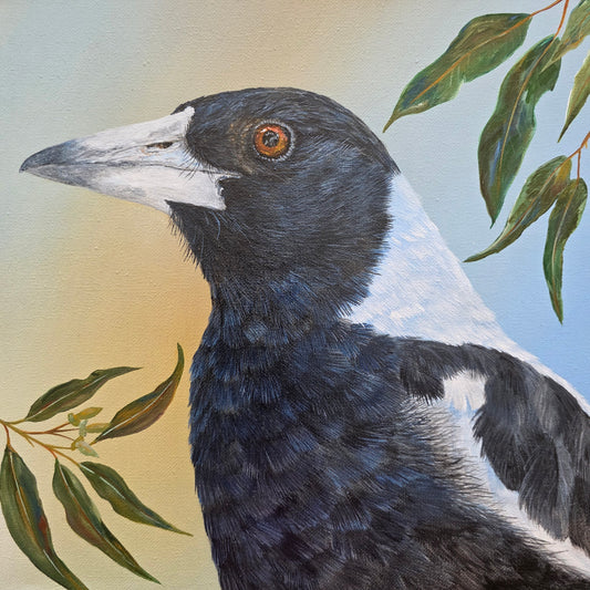 Magpie