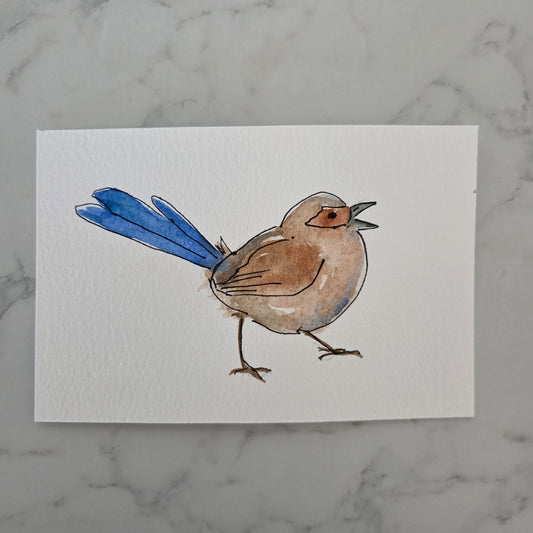 Fairywren Study Four
