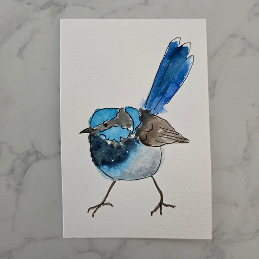 Fairywren Study One