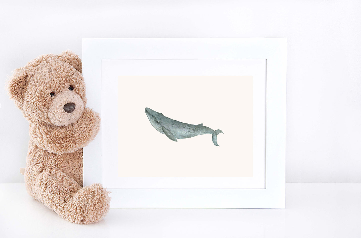 Humpback Whale