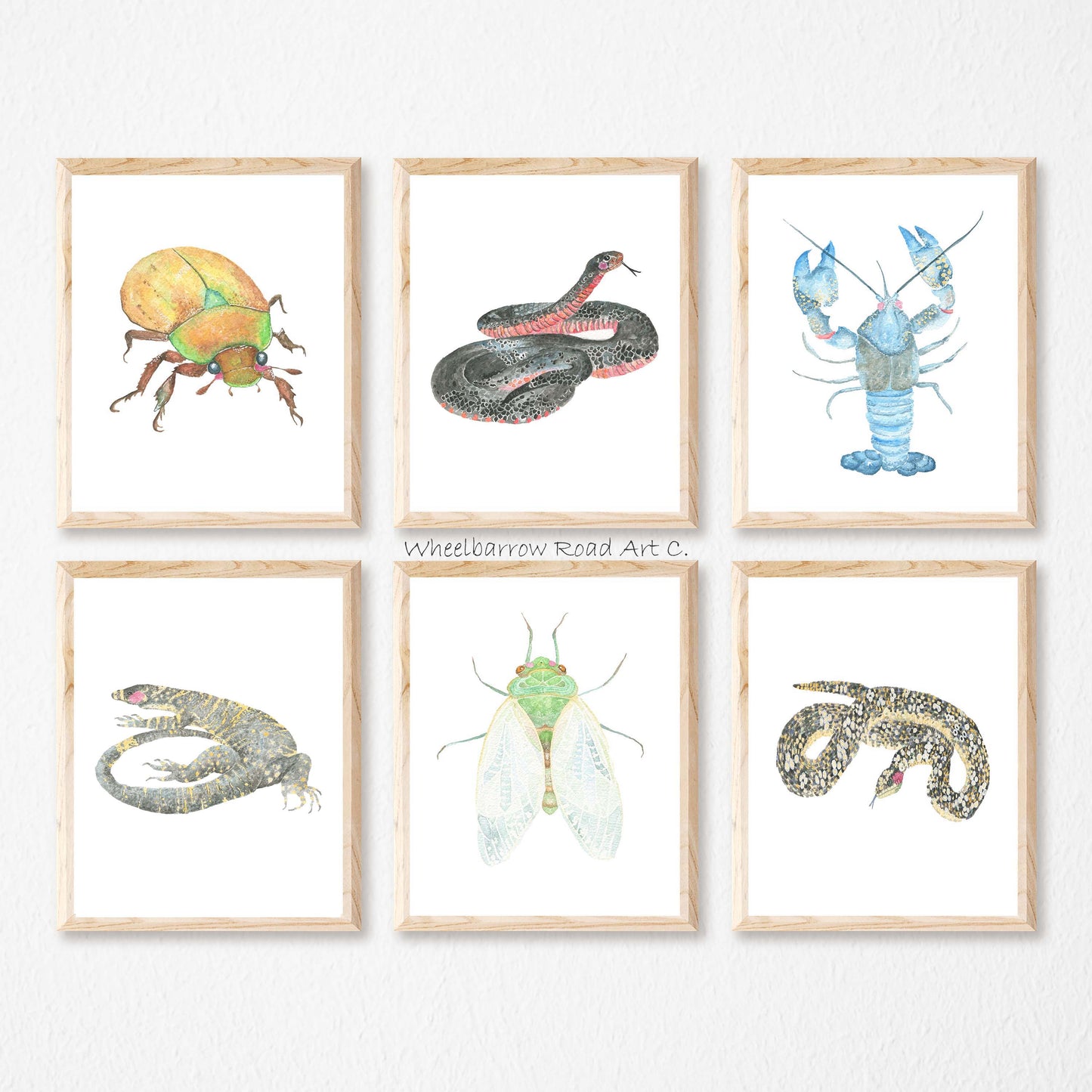 RED BELLY BLACK SNAKE NURSERY PRINT
