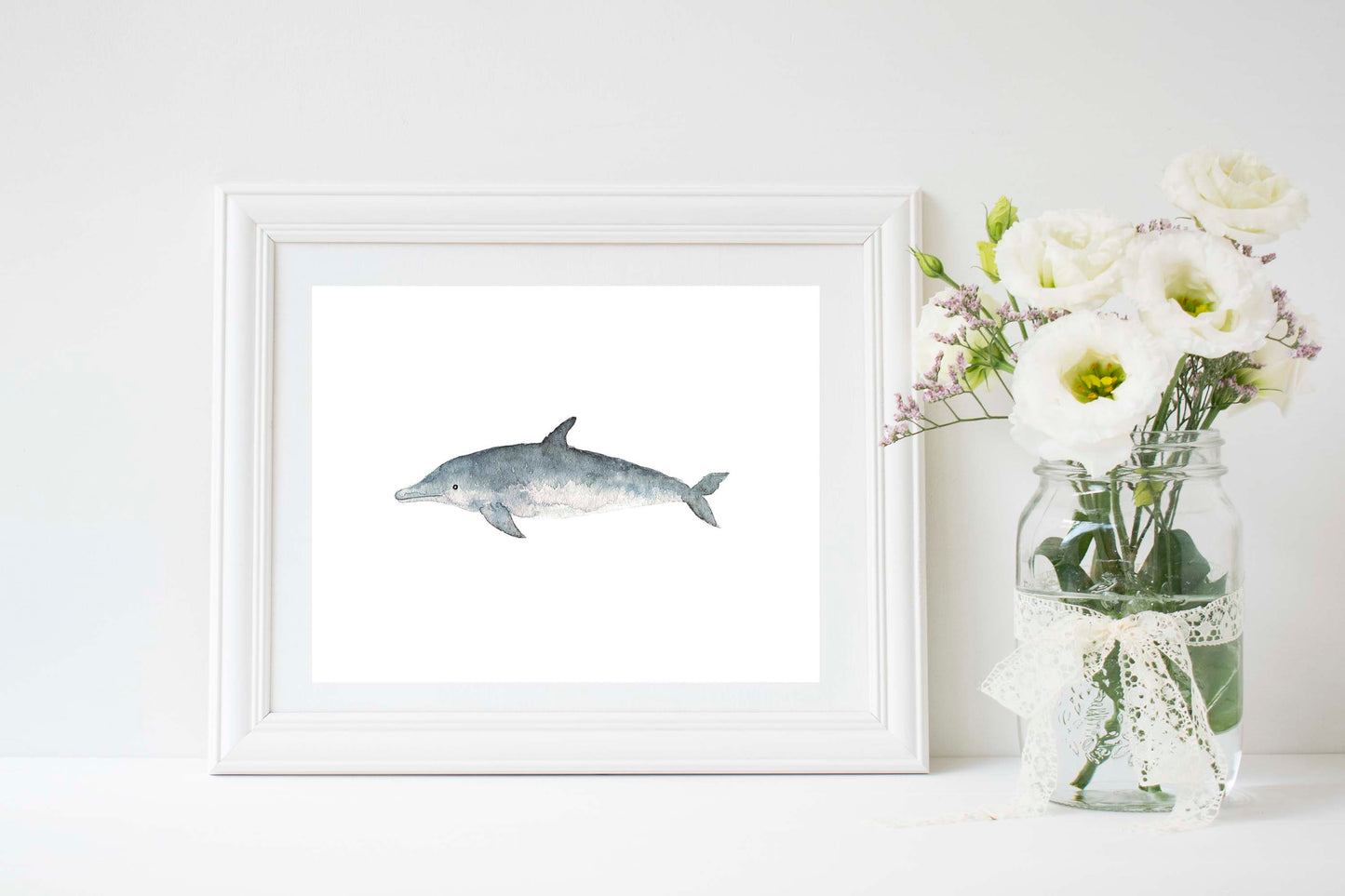 Bottlenose Dolphin