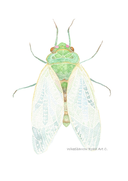 CICADA NURSERY PRINT