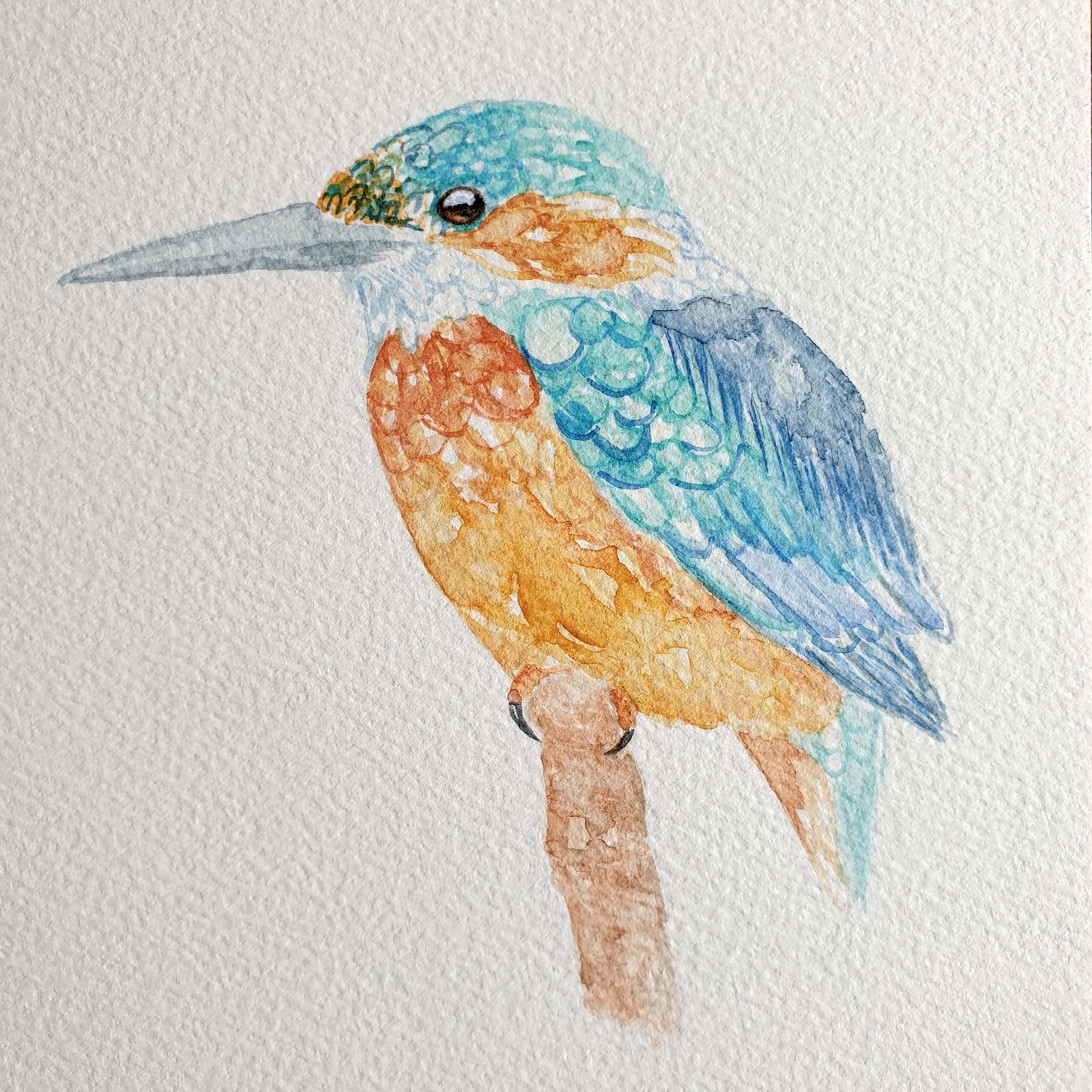 Kingfisher