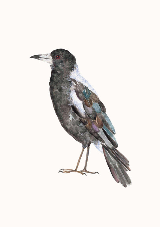 MAGPIE PRINT