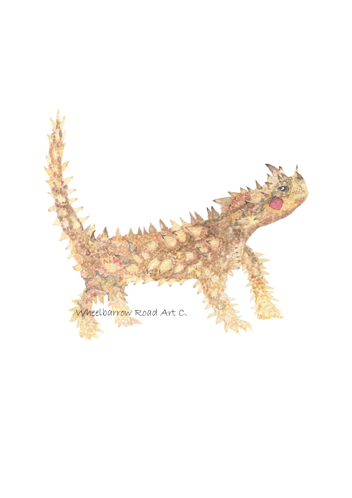 OUTBACK AUSTRALIAN ANIMALS SETS