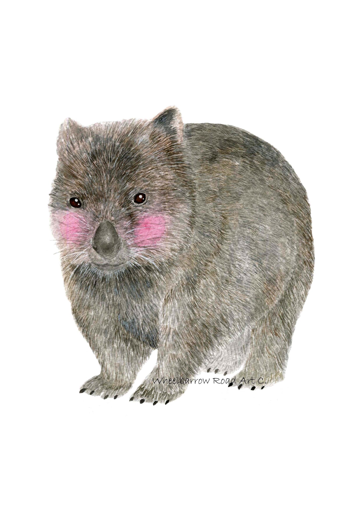 ICONIC AUSTRALIAN ANIMAL SET